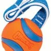 Chuckit! Chuckit Ultra Tug Medium