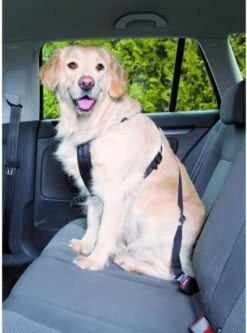 Trixie Auto-Tuig Zwart Maat - M -Dieren Product Winkel 891x1200 5