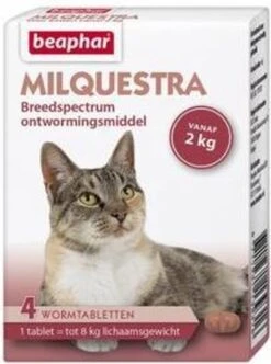 Beaphar Milquestra Kleine Kat/kitten - 0,5 Tot 4 Kg - 2 Tabletten -Dieren Product Winkel 893x1200 2