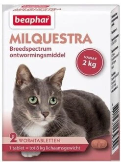 Beaphar Milquestra Kleine Kat/kitten - 0,5 Tot 4 Kg - 2 Tabletten -Dieren Product Winkel 894x1200