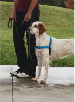 Petsafe Easy Walk® Deluxe Harness - Hondentuigje - Blauw - M - 1,8 M -Dieren Product Winkel 894x1200 4