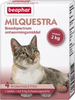 Beaphar Milquestra Ontworming Tabletten Kat 2 - 12 Kg 4 Tabletten 21 Beaphar Milquestra Ontworming Tabletten Kat 2 - 12 Kg 4 Tabletten -Dieren Product Winkel 898x1200 2