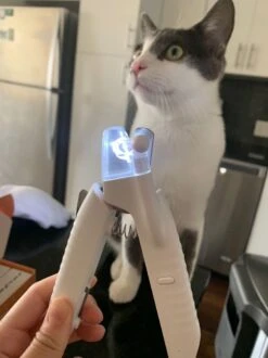 SunnyPets - Professionele Dieren Nagelknipper - Wit - Met LED En Vijl - Hond - Kat - Geschikt Voor Alle - Nageltang -Dieren Product Winkel 899x1200 18