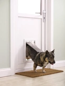 Petsafe 660 Hondenluik - Tot 100 Kg - Aluminium -Dieren Product Winkel 900x1200 56