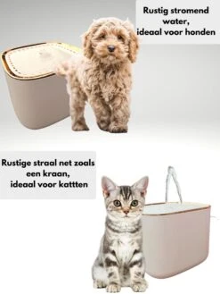 Glorious Online Drinkfontein - Katten/Honden - Dieren Drinkbakken - Incl Filter- Luxe -Dieren Product Winkel 900x1200 58