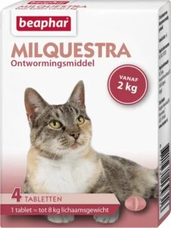Beaphar Milquestra Ontworming Tabletten Kat 2 - 12 Kg 4 Tabletten 15 Beaphar Milquestra Ontworming Tabletten Kat 2 - 12 Kg 4 Tabletten -Dieren Product Winkel 900x1200 6