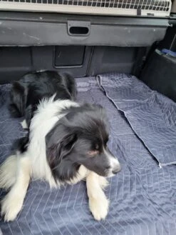 Luxe Hondendeken 200 X 150 Cm Auto Achterbank Kofferbak Vuilafstotend & Beschermend -Dieren Product Winkel 900x1200 80