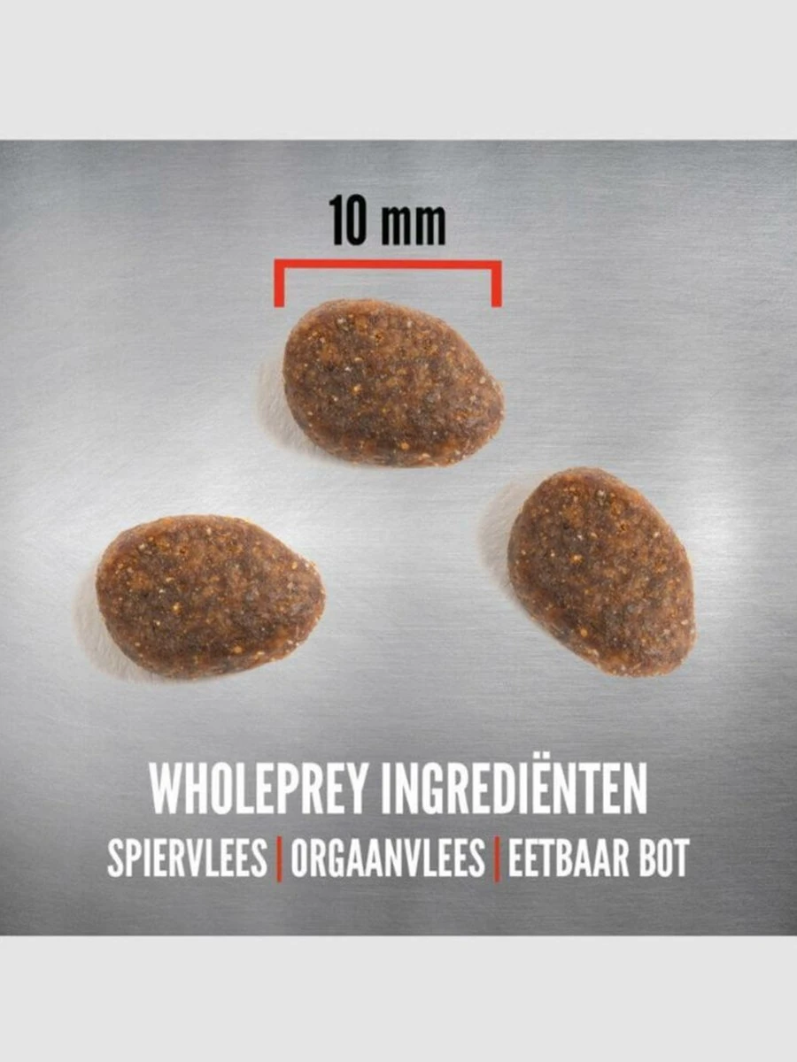 Orijen Regional Red Cat - Kattenvoer - 5.4 Kg 4 Orijen Regional Red Cat - Kattenvoer - 5.4 Kg - Afbeelding 4