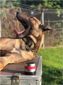 RelaxoPet Pro Dog – Dieren Antistressmiddel – Anti-stress Hond – Ontspanningsmuziek – Ontspanning Voor Hond -Dieren Product Winkel 902x1200 2