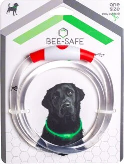 Led Dog Band USB | BEE SAFE -BLUE- | Dier Verlichting | Hondenband LED -Dieren Product Winkel 903x1200 4