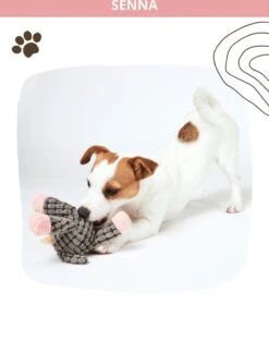 Honden Knuffel - Set Van 2 - Hondenspeelgoed Met Piep - Honden En Katten - Ezel En Giraf - Sellaio -Dieren Product Winkel 912x1200 3