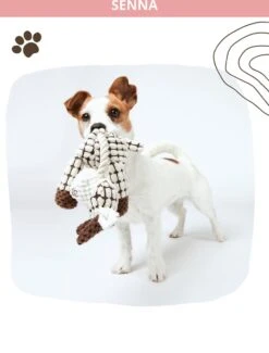 Honden Knuffel - Set Van 2 - Hondenspeelgoed Met Piep - Honden En Katten - Ezel En Giraf - Sellaio -Dieren Product Winkel 912x1200 4