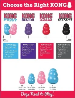 Kong Puppy - Hondenspeelgoed - Assorti - L -Dieren Product Winkel 917x1200 5