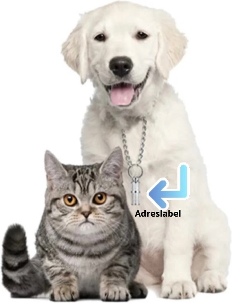 Merkloos Zelfverwarmende Dierendeken Zonder Stroom Thermo Deken Hond Kat Inclusief Adreslabel 70 X 47 Cm 2 Merkloos Zelfverwarmende Dierendeken Zonder Stroom Thermo Deken Hond Kat Inclusief Adreslabel 70 X 47 Cm - Afbeelding 2