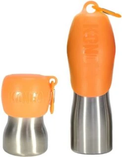 KONG H2O 740 Ml Rvs Waterfles Zwart -Dieren Product Winkel 932x1200 4