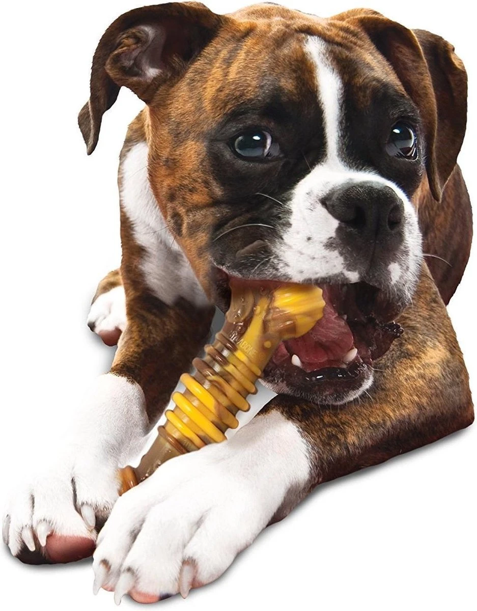 Nylabone Extreme Kauwbot Met Rund- En Kaassmaak - Voor Krachtige Kauwers - In S/M/XL - X-Large 10 Nylabone Extreme Kauwbot Met Rund- En Kaassmaak - Voor Krachtige Kauwers - In S/M/XL - X-Large - Afbeelding 10