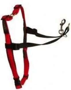 Company Of Animals Halti Harnass Anti Trektuigje - Hond - Small - Borstomvang 30 Tot 60 Cm - Rood -Dieren Product Winkel 945x1200