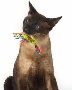 Petstages Dental Health Chew Kattenspeelgoed - Catnip -Dieren Product Winkel 960x1200 2