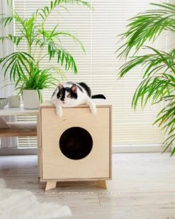 Catandwood Kattenhuis - Kattenbakcontainer - Kattenbak Ombouw - Hout 19 Catandwood Kattenhuis - Kattenbakcontainer - Kattenbak Ombouw - Hout -Dieren Product Winkel 960x1200 5