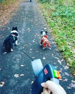 Wigzi Dual Doggie 2.0 Voor Twee Honden - Hondenriem - Grijs - 3m - <22 Kg (per Hond) -Dieren Product Winkel 960x1200 6