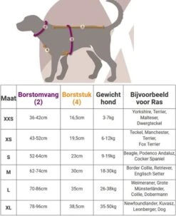 Anny.X Hondentuig Y Tuig Bruin Barnsteen Maat L Geschikt Voor Borstomvang 70-86cm -Dieren Product Winkel 977x1200 4