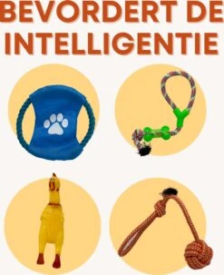 (Goedkoopste) Honden Speelgoed Set 15 Stuks Geschikt Voor Puppy's T/m Middelgrote Honden - Honden Kauw Speelgoed - 15 Stuks - Hondenspeeltjes - Intelligentie - Touw - Flostouw - Bijtring - Bal - Huisdieren Speelgoed -Dieren Product Winkel 979x1200 5