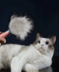 Pakeway T9 - Kattenborstel - Zelfreinigende Kattenkam - Roze - Massageborstel - 19,3 Cm 20 Pakeway T9 - Kattenborstel - Zelfreinigende Kattenkam - Roze - Massageborstel - 19,3 Cm -Dieren Product Winkel 983x1200 2