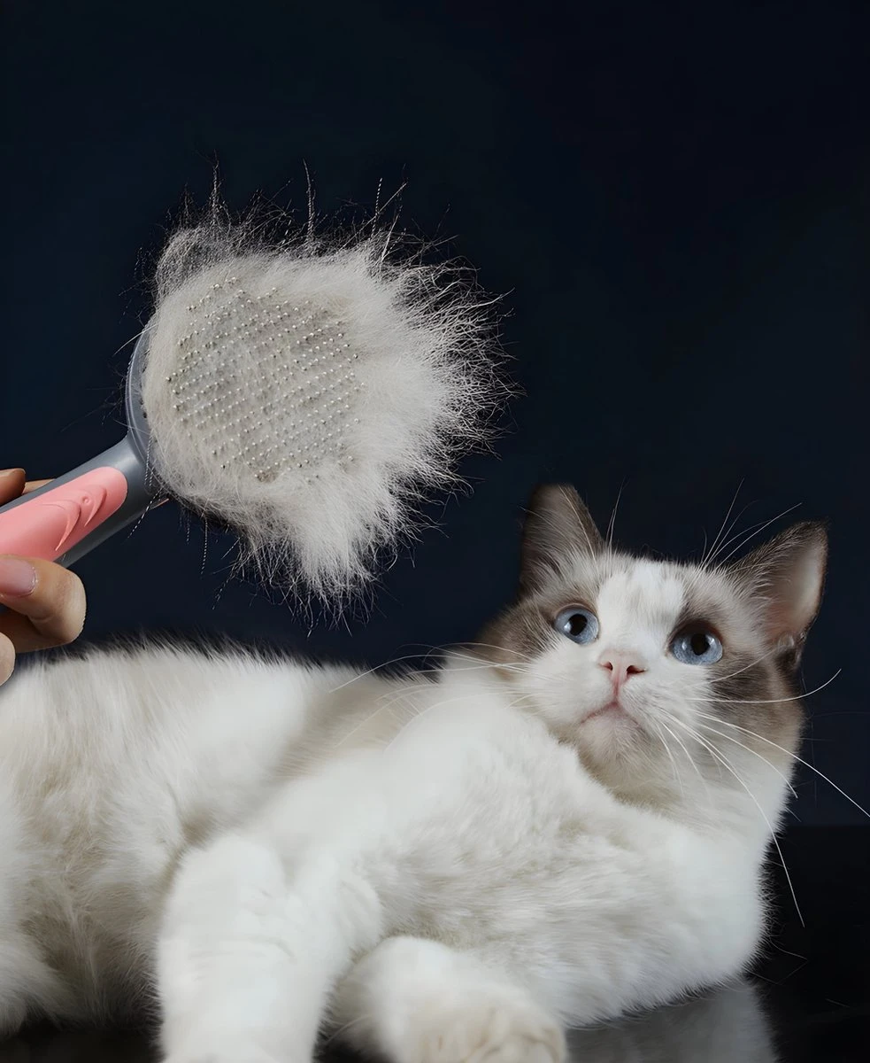 Pakeway T9 - Kattenborstel - Zelfreinigende Kattenkam - Roze - Massageborstel - 19,3 Cm 10 Pakeway T9 - Kattenborstel - Zelfreinigende Kattenkam - Roze - Massageborstel - 19,3 Cm - Afbeelding 10