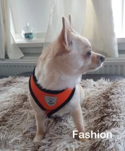 Luxyana Pets Hondentuig - M - 32-55cm - Harnas Voor Hond Of Grote Kat - Easy Step-in Hondenharnas - Inclusief Bijpassend Riempje - Zwart -Dieren Product Winkel 992x1200 6