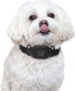 Reptrek® Minitrek GPS Tracker Voor Hond En Kat - Blauw - 4.9 X 3.3 X 1.5 Cm -Dieren Product Winkel 994x1200 4