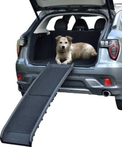 Hondenhelling Opvouwbaar Antislip 155x39x15 Cm Zwart