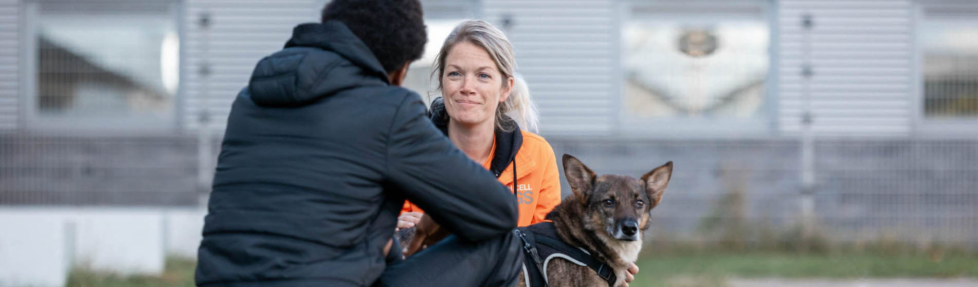 Dieren Product Winkel -Dieren Product Winkel dgdg